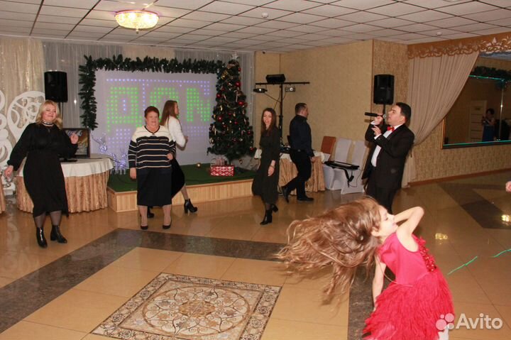 Поющий ведущий, тамада, ди джей, суперпрограмма