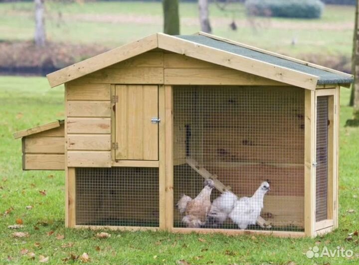 Курятник для кур, гусятник