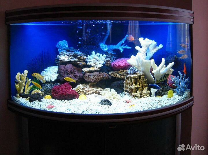 Чистка и обслуживание вашего аквариума