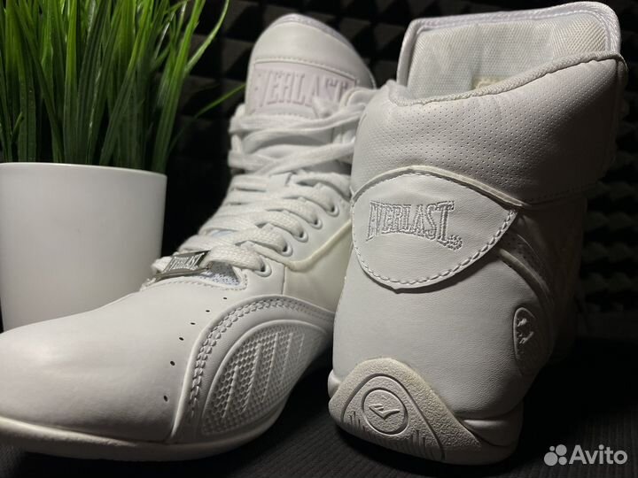 Боксерки Everlast