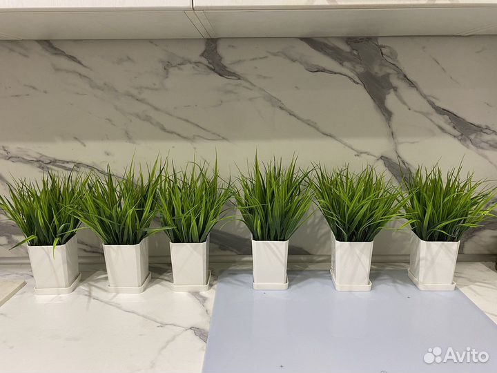 Зелень в кашпо