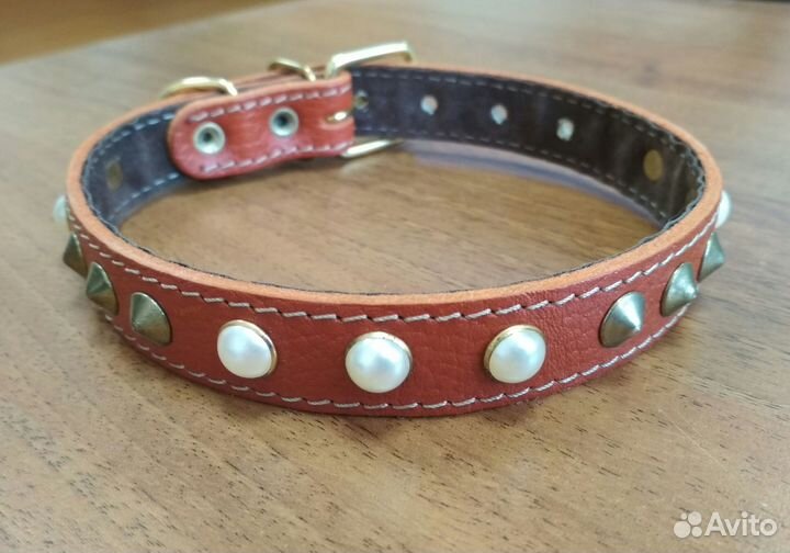Ошейник для собак