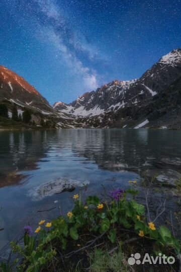 Авторский тур на Алтай