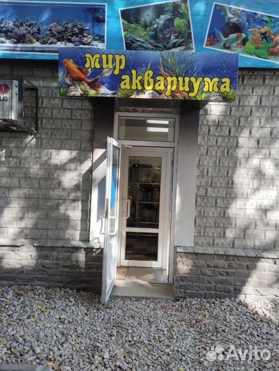Магазин, Мир аквариума