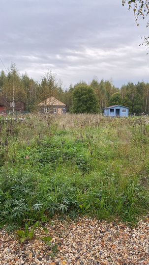 Участок 12,3 сот. (ИЖС)