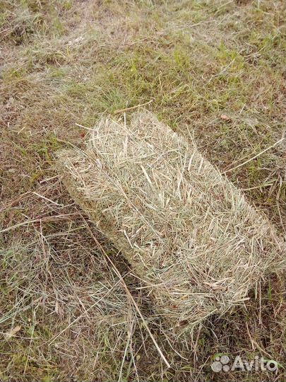 Сено в тюках