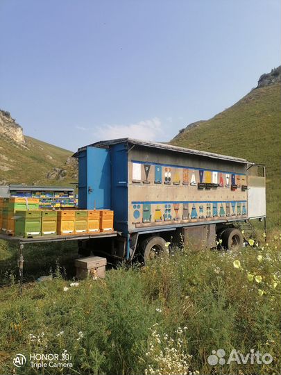 Прицеп кассетный для пчел