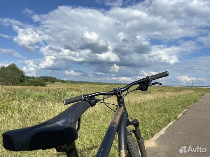 MTB Stinger Element Pro SE 29