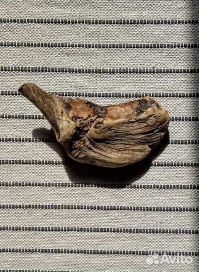 Дрифтвуд коряга 32*16 см