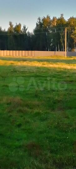 Участок 25 сот. (ИЖС)