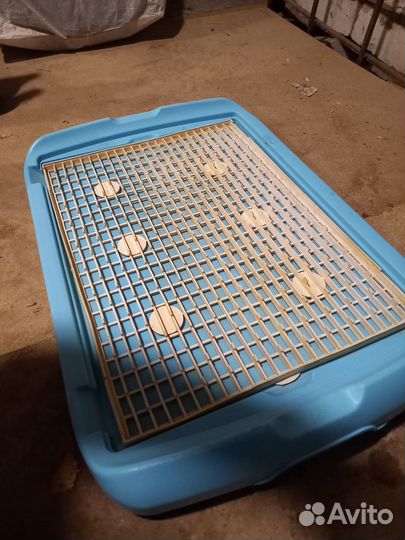 Лоток туалет для кошек и собак