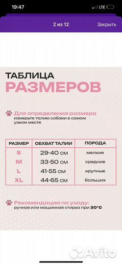 Многоразовые трусики для собак