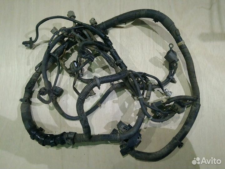 Коса двигателя. Жгут проводов. 8982447370. Isuzu N