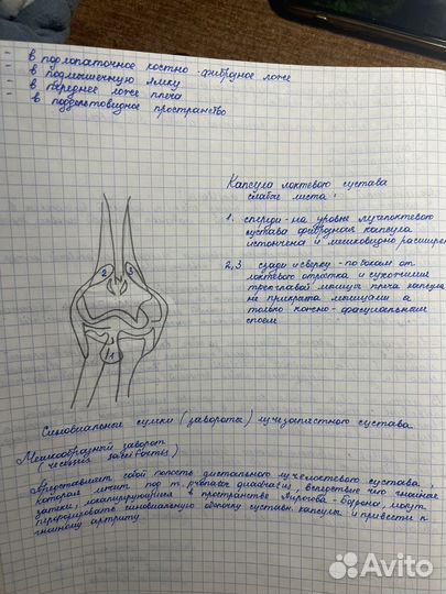 Напишу конспекты