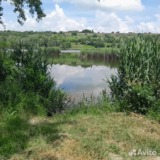 Рыбалка и отдых