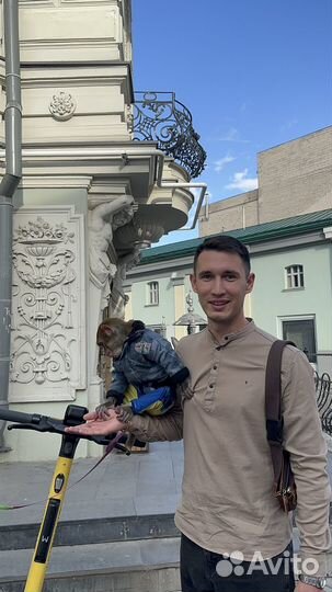 Срочный выкуп авто / Выкуп битых авто