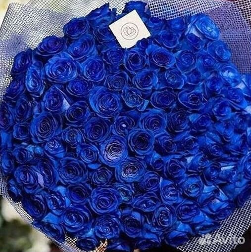 Доставка букетов и цветов. Синие розы