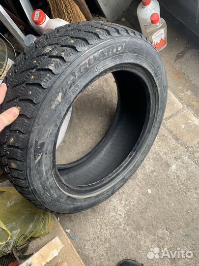 Nexen Winguard 231 195/55 R15