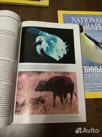 National geographic Россия
