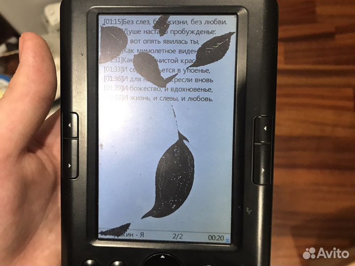 Электронная книга Ritmix