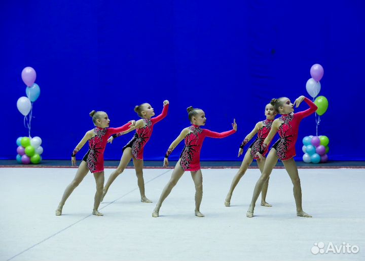 Купальник для художественной гимнастики