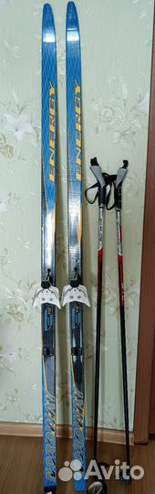 Беговые лыжи