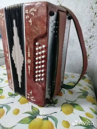 Гармонь беларусь