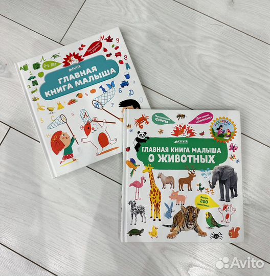 Книги для малыша; главная книга малыша