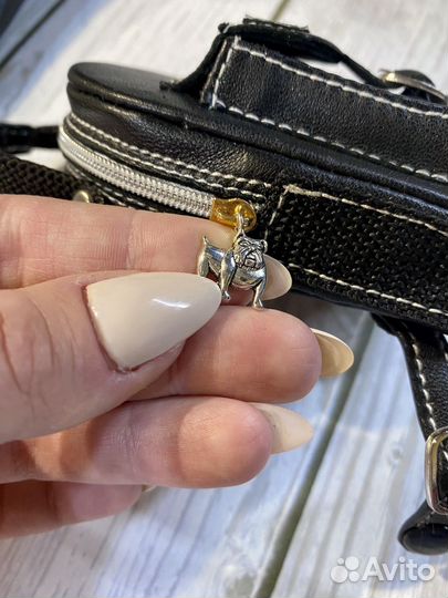 Одежда для собак