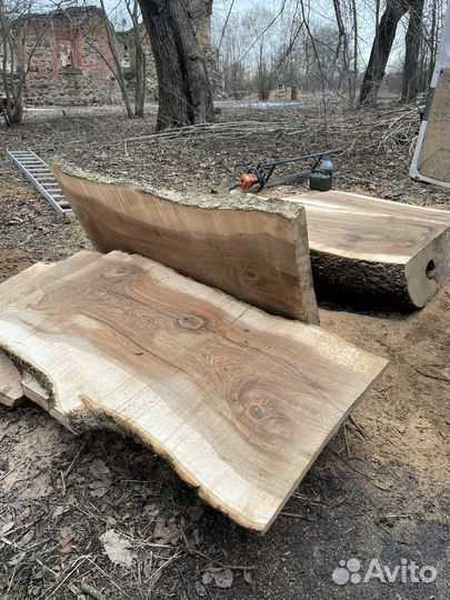 Распил деревьев на слэбы,мобильной пилораммой