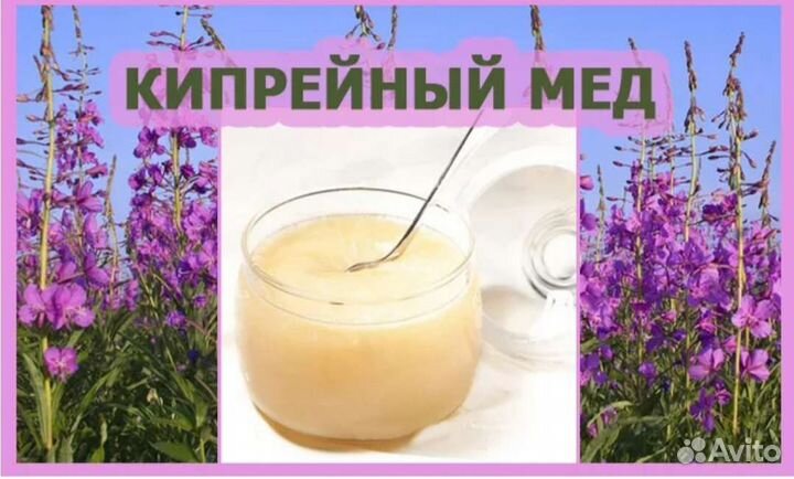 Мед Иван-чай (Кипрей)
