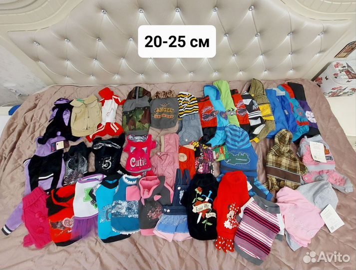 Одежда для собак