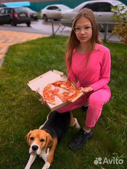 Кафе с точкой доставки пиццы и суши 