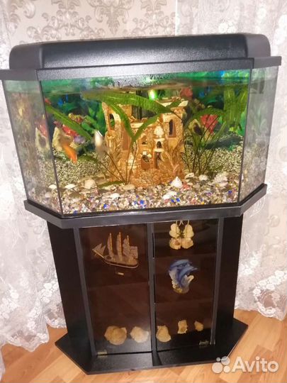 Аквариум