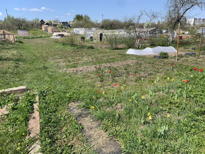 Участок 3,2 сот. (СНТ, ДНП)