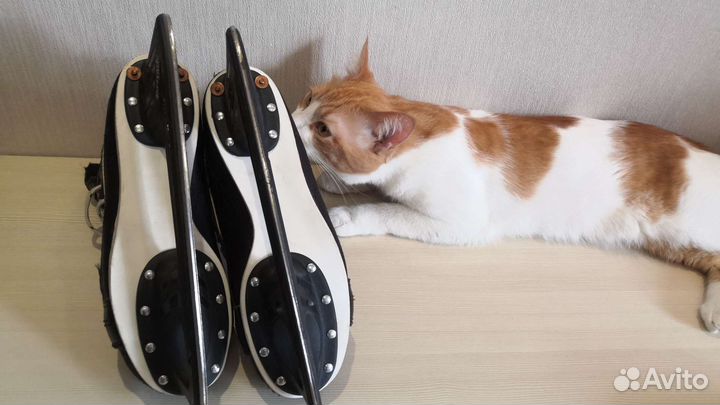 Коньки хоккейные Botaz