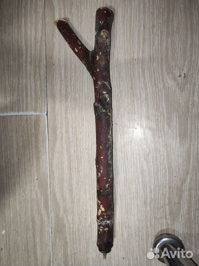 Палка-жердочка большач