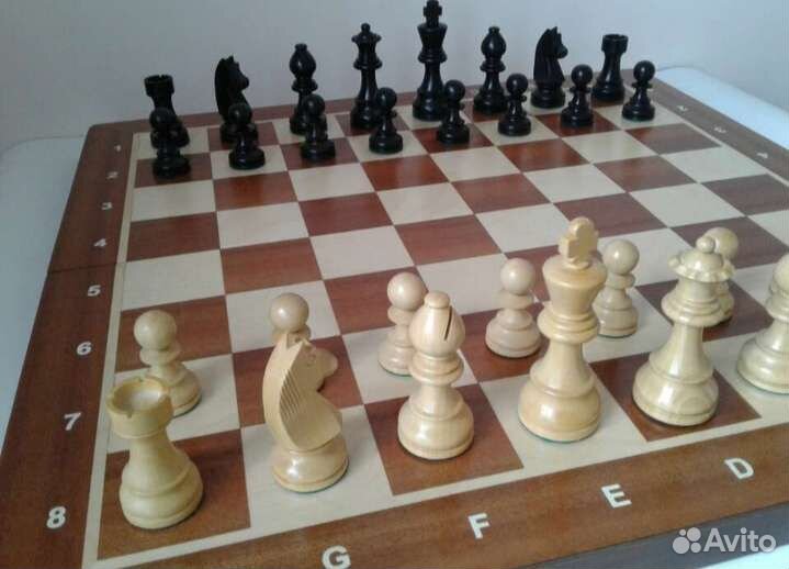 Шахматы курсы