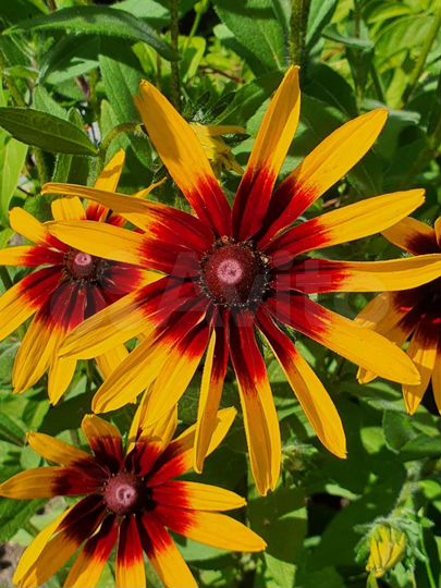 Дача 80 м² на участке 6,3 сот.