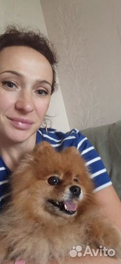 Передержка собак мелких и средних пород догситтер