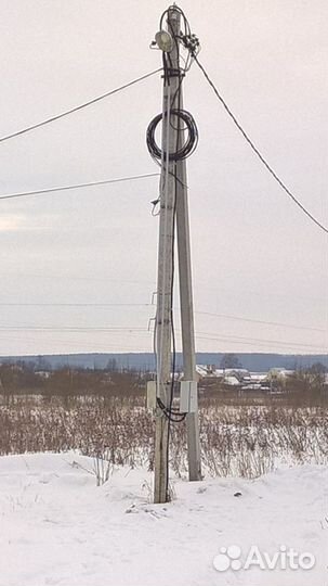 Питомник растений