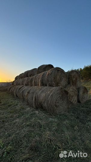 Сено в тюках