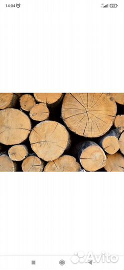 Дрова дубовые
