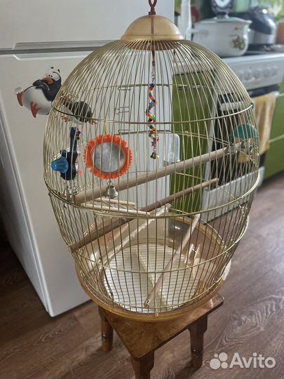 Большая клетка для птиц