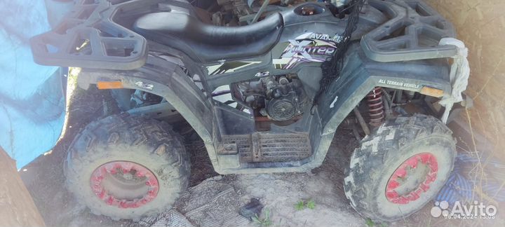 Avantis hunter 200 big