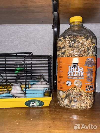 Джунгарский хомяк с клеткой