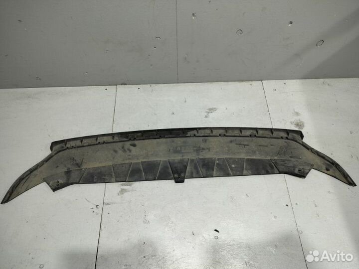 Защита бампера Volkswagen Passat B7