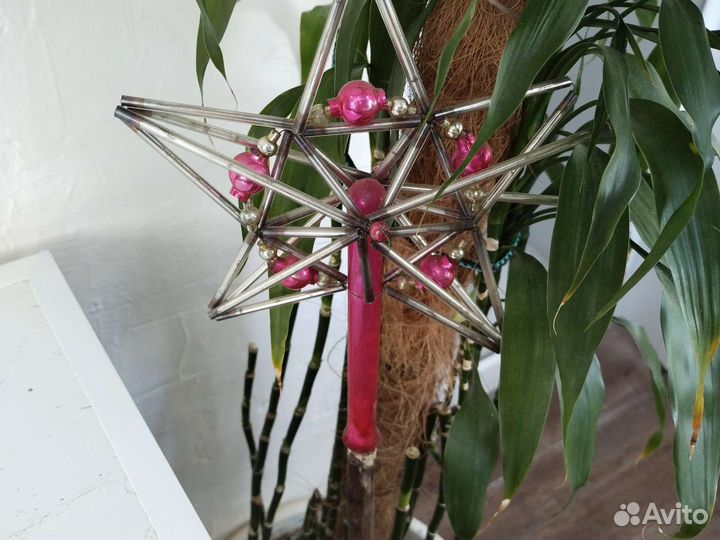 Звезда елочная