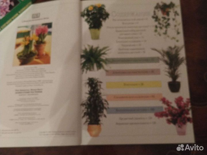 Ланкастер Комнатн.растения, Севостьянова Справ-к