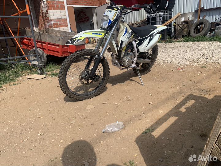 Avantis FX250LUX 2020